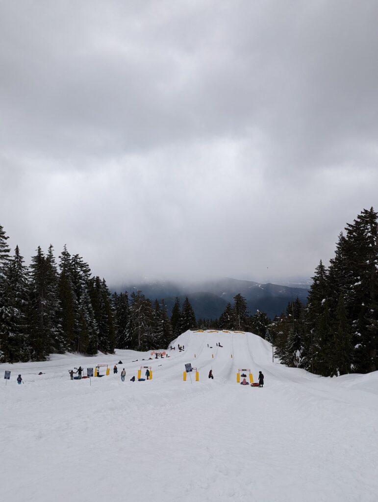 Descubre la emoción del tubbing en Seymour Mountain