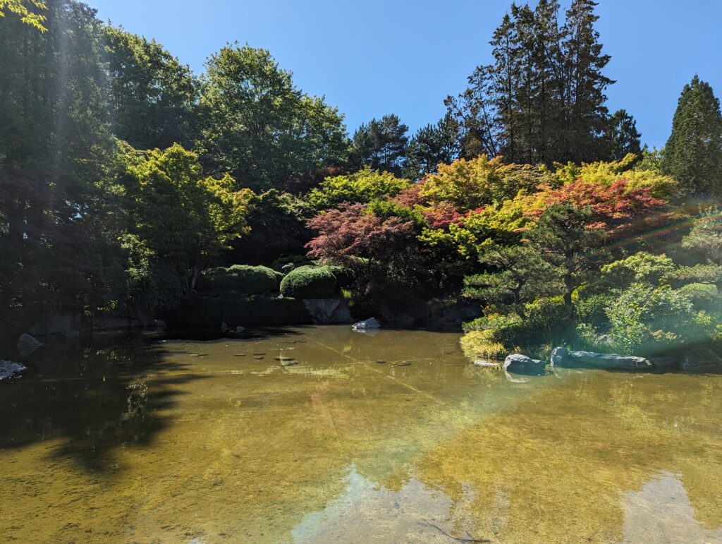Jardin Japones en Amusement Park