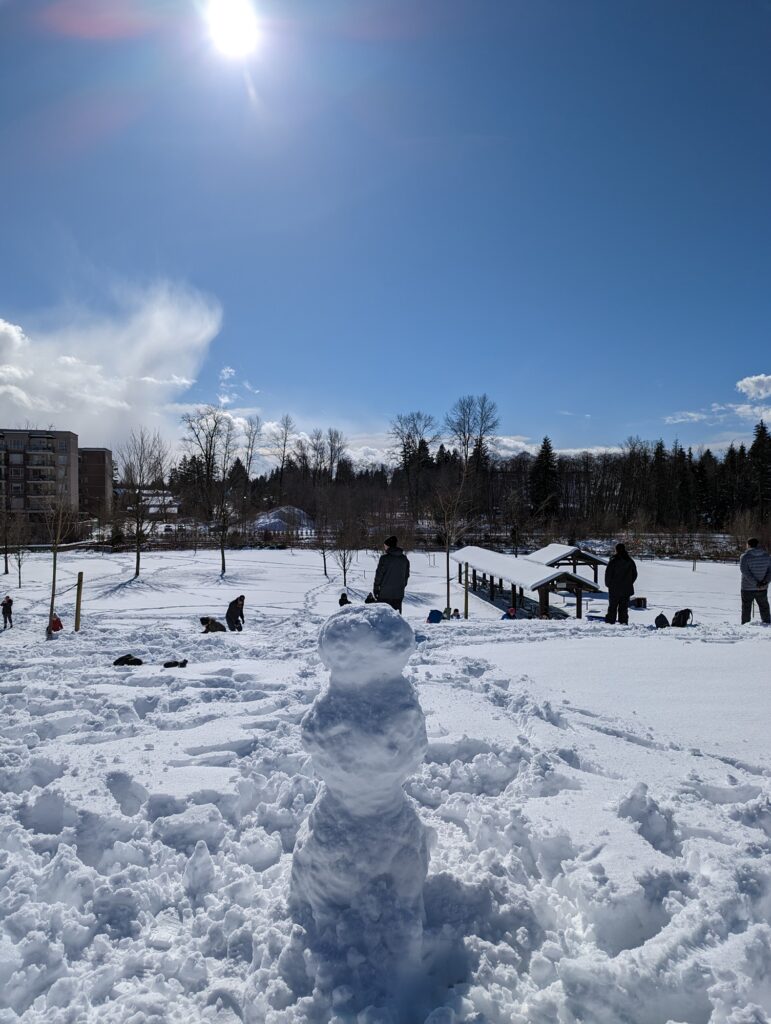 Nieve en Hawthorne Park