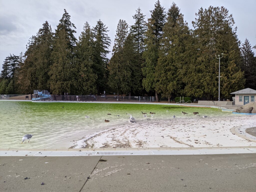 Piscina en Stanley Park
