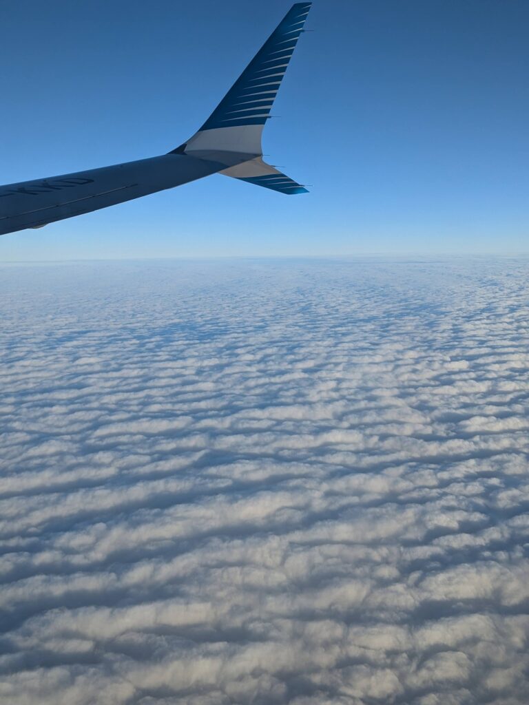 Aerolineas Argentinas